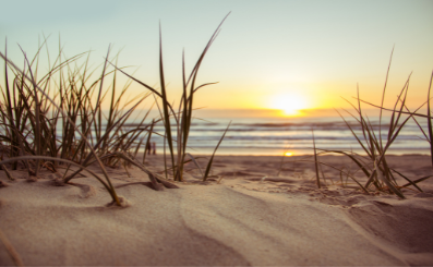 Blick auf das Meer, zwischen Schilf hindurch